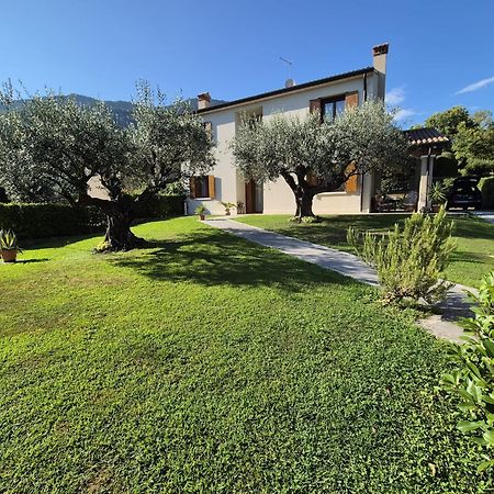 Maryhouse Villa Borso del Grappa Kültér fotó